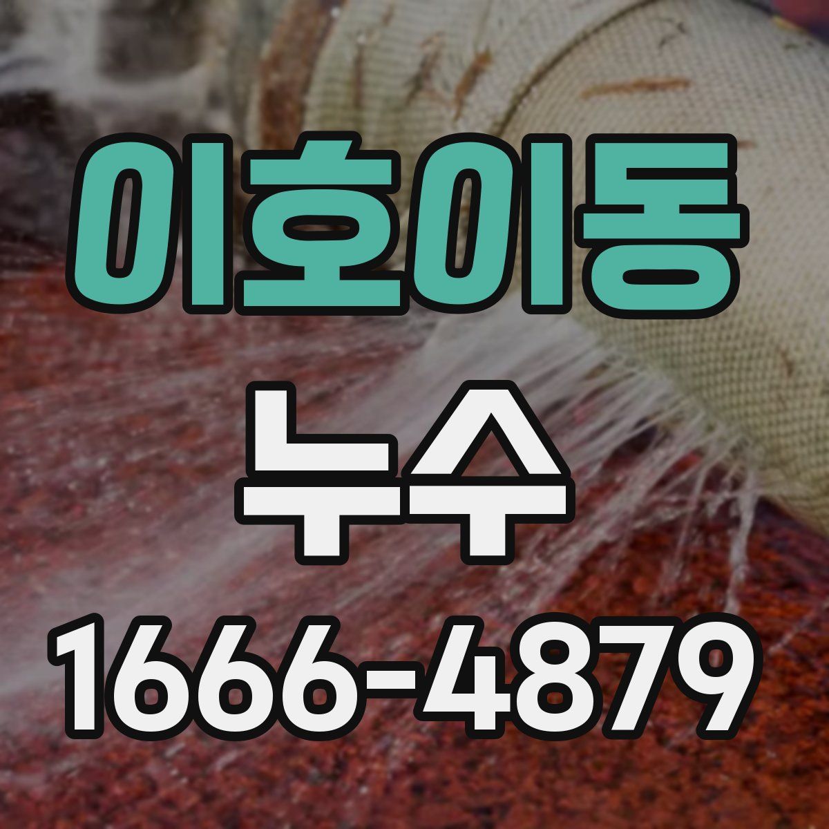 이호이동 누수