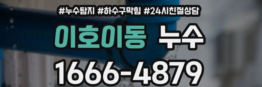 이호이동 누수