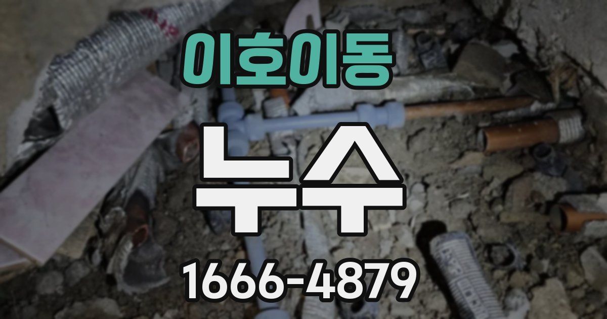 이호이동 누수