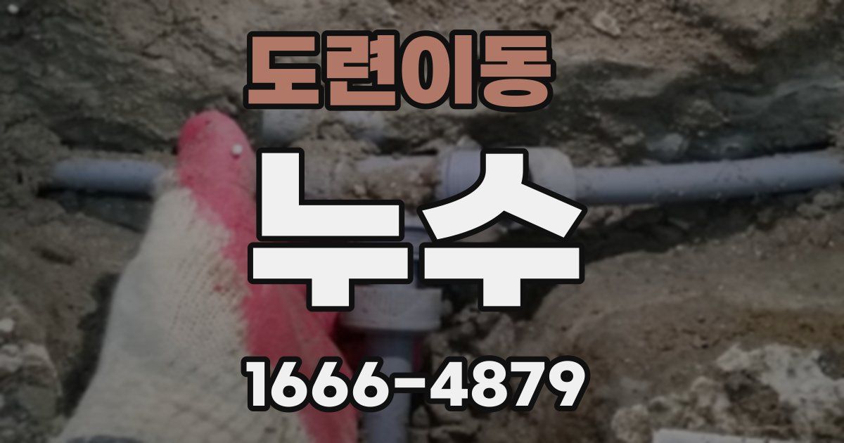 도련이동 누수