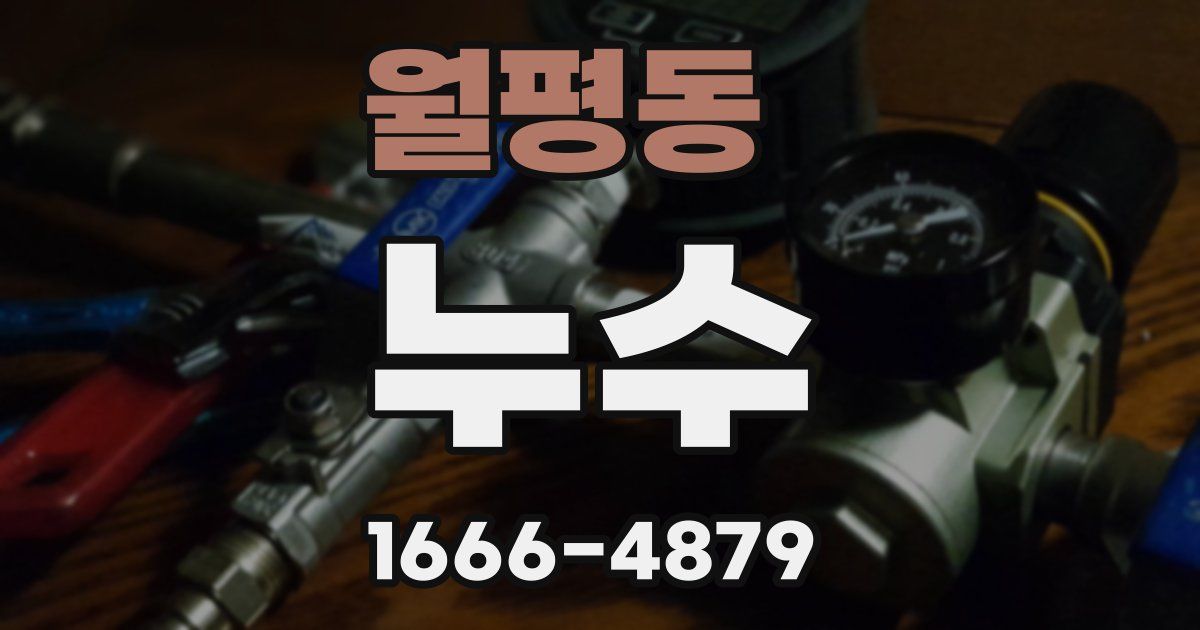 월평동 누수