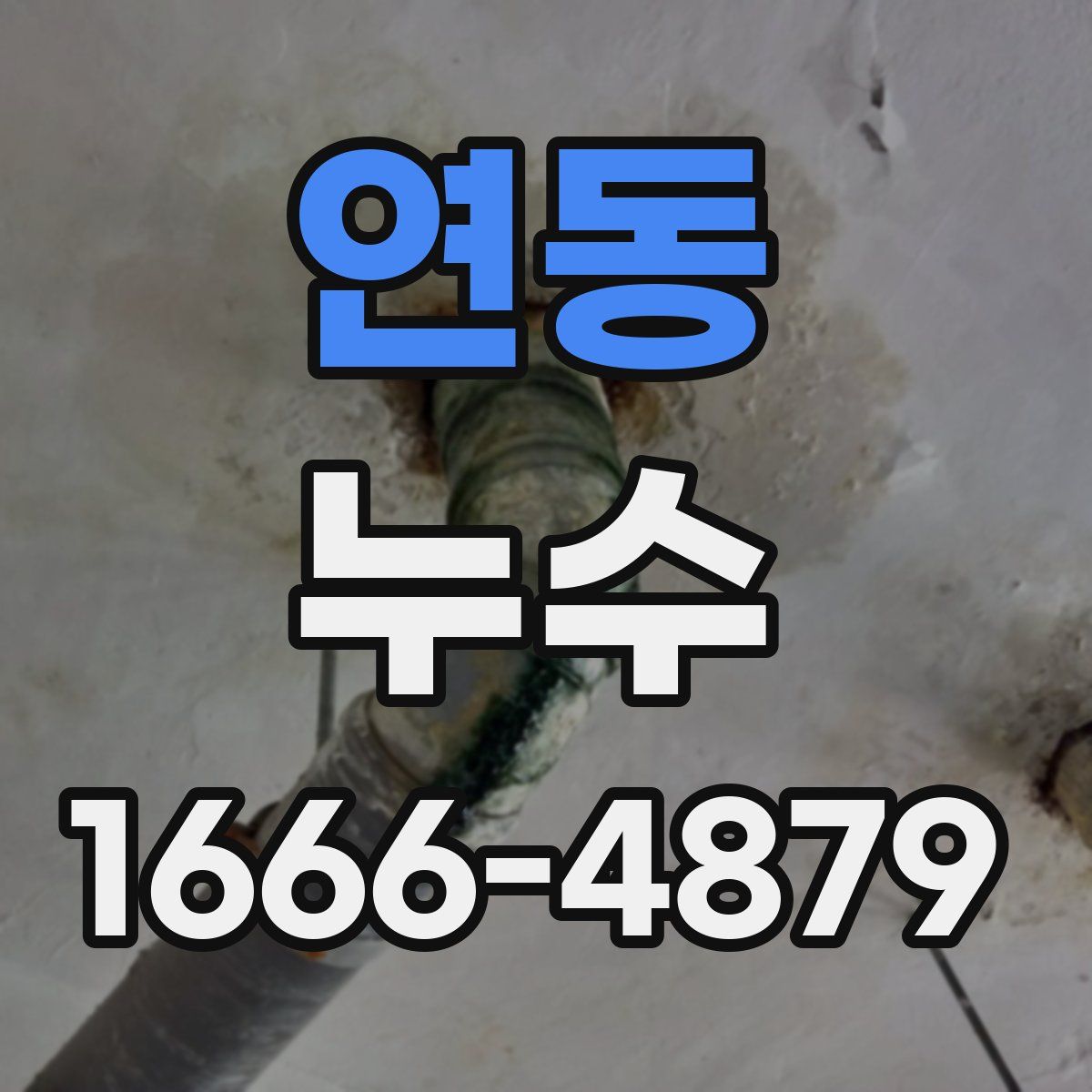 연동 누수