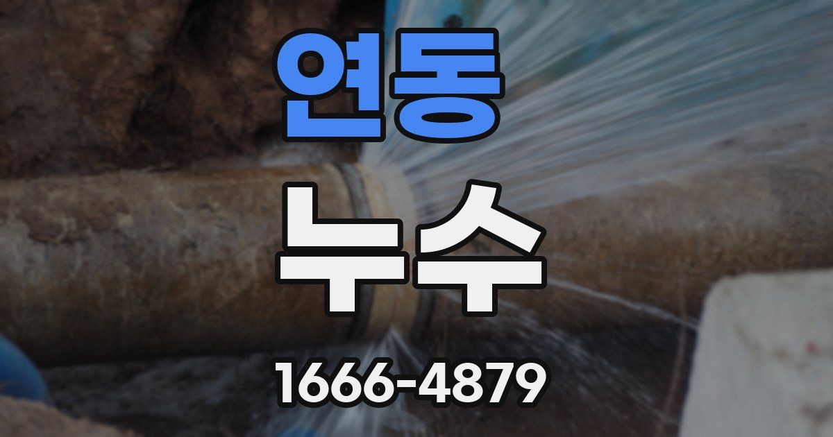 연동 누수