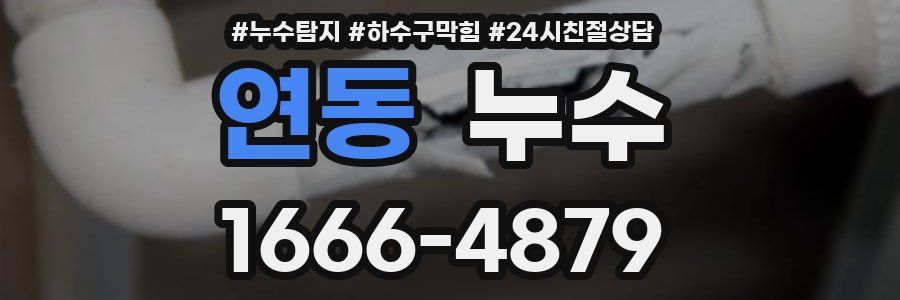 연동 누수