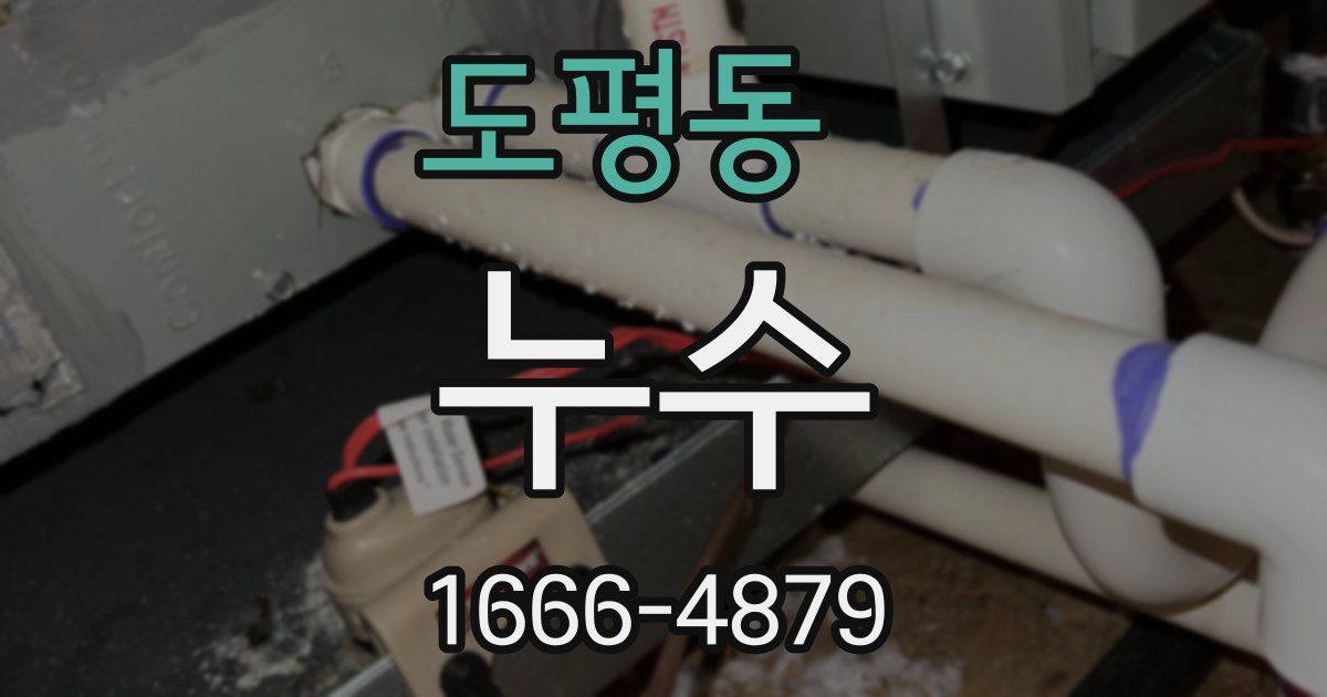 도평동 누수