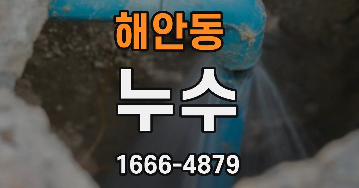 해안동 누수
