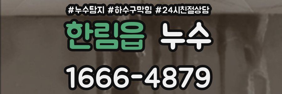 한림읍 누수