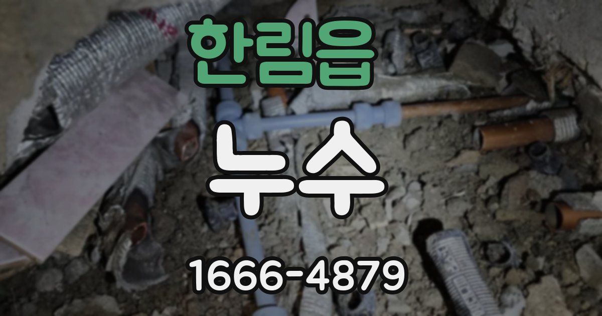 한림읍 누수