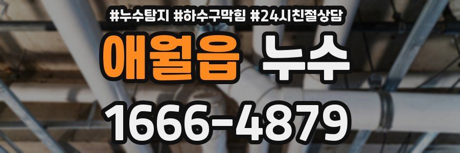 애월읍 누수