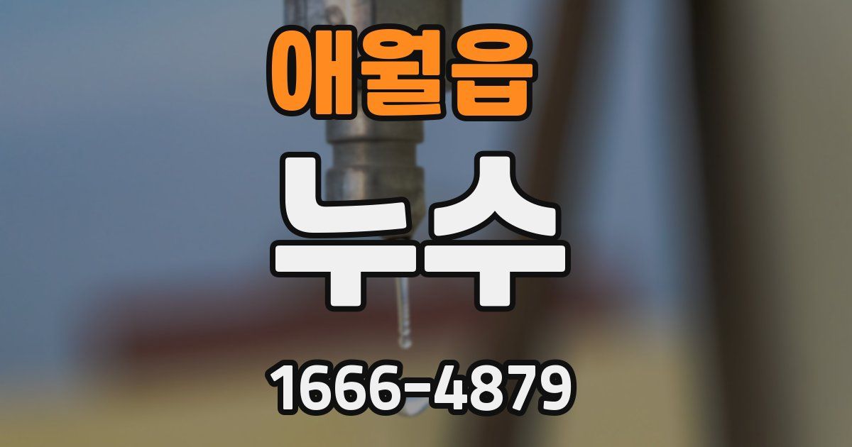 애월읍 누수