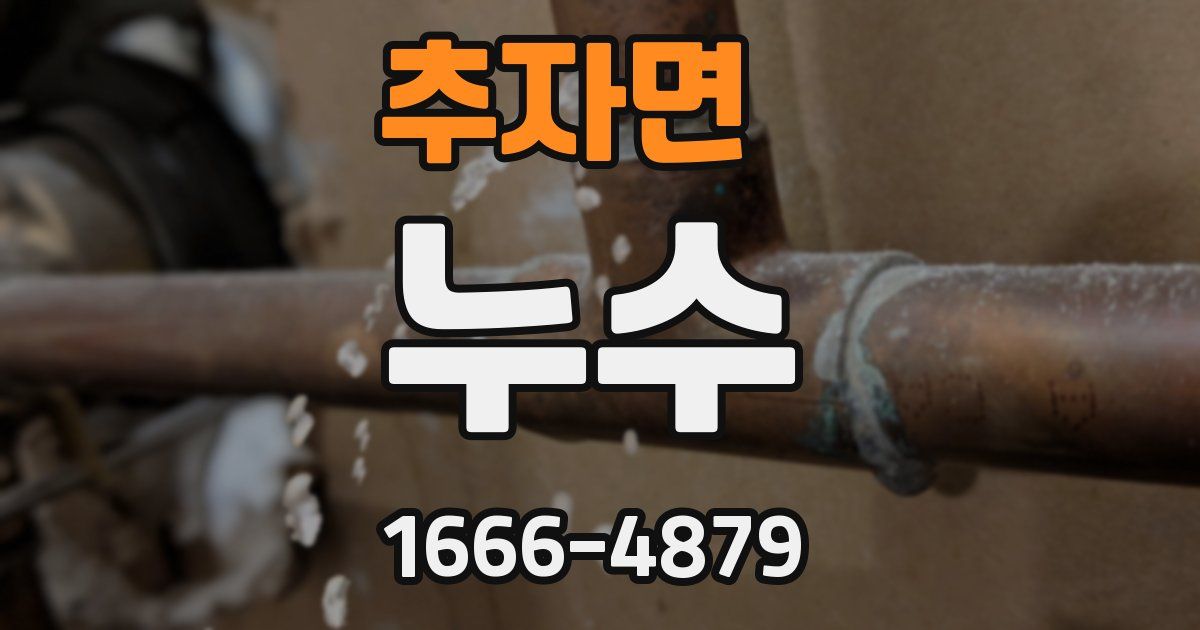 추자면 누수