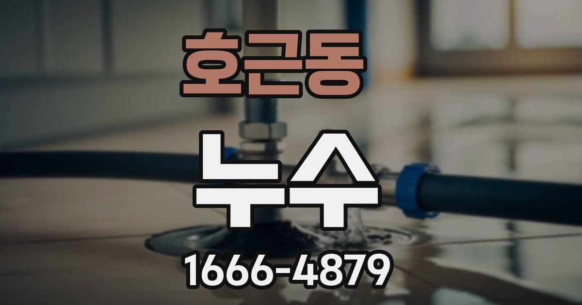 호근동 누수