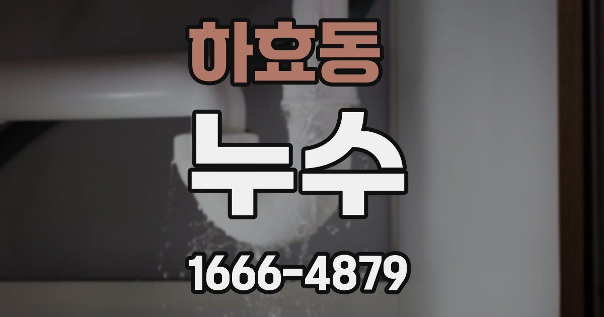 하효동 누수