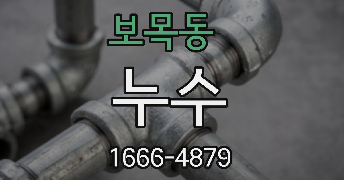 보목동 누수