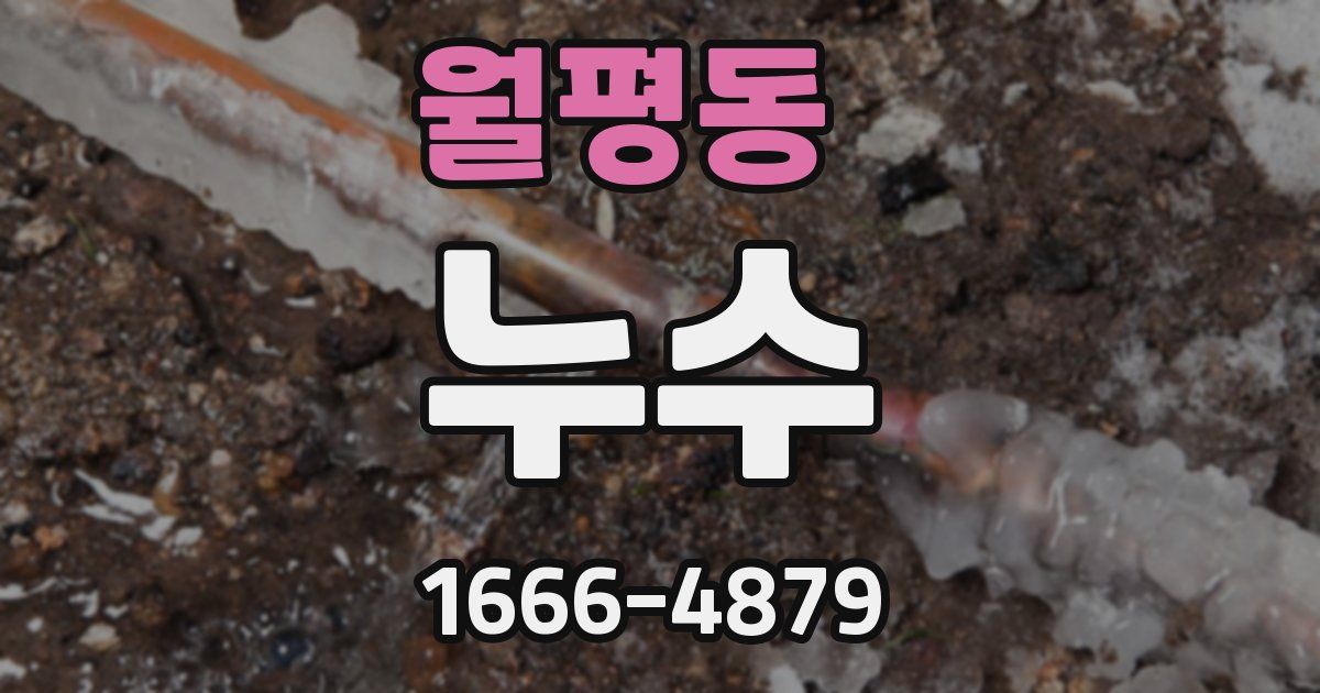 월평동 누수