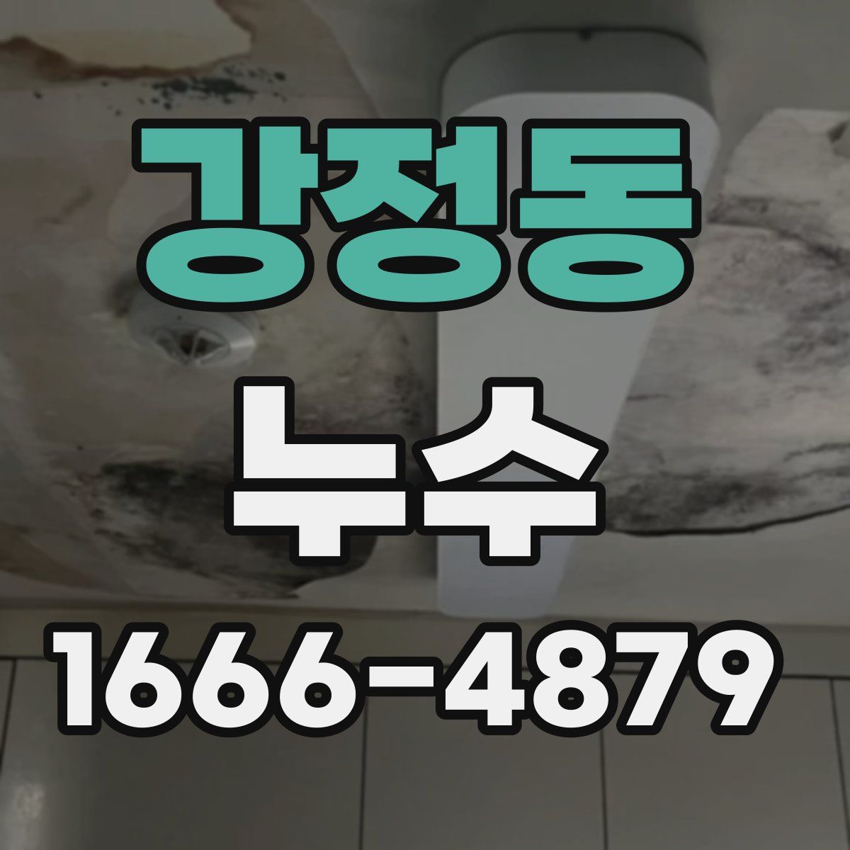 강정동 누수