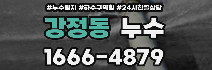 강정동 누수