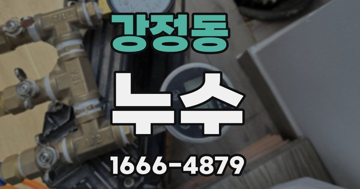 강정동 누수