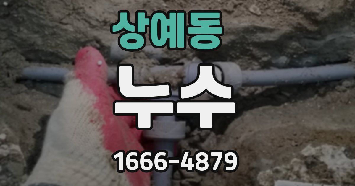 상예동 누수