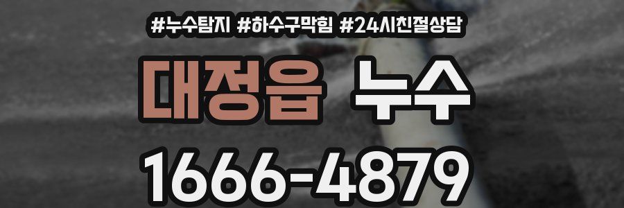 대정읍 누수