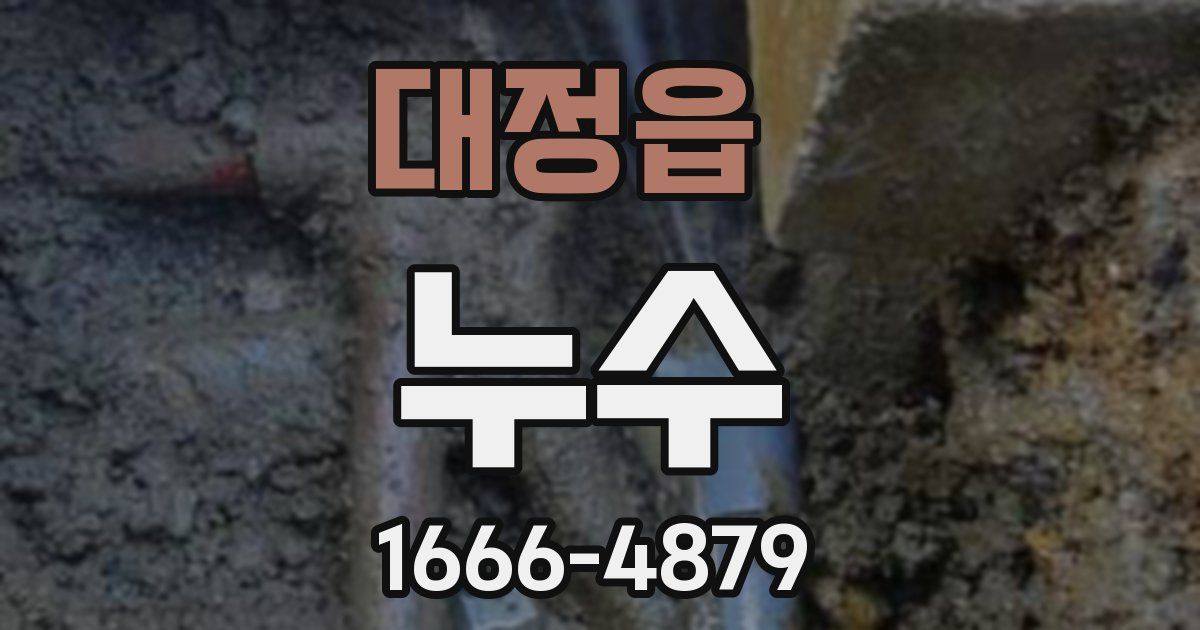 대정읍 누수