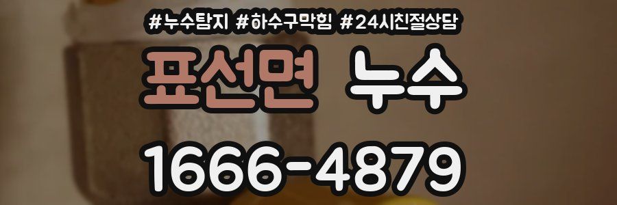표선면 누수