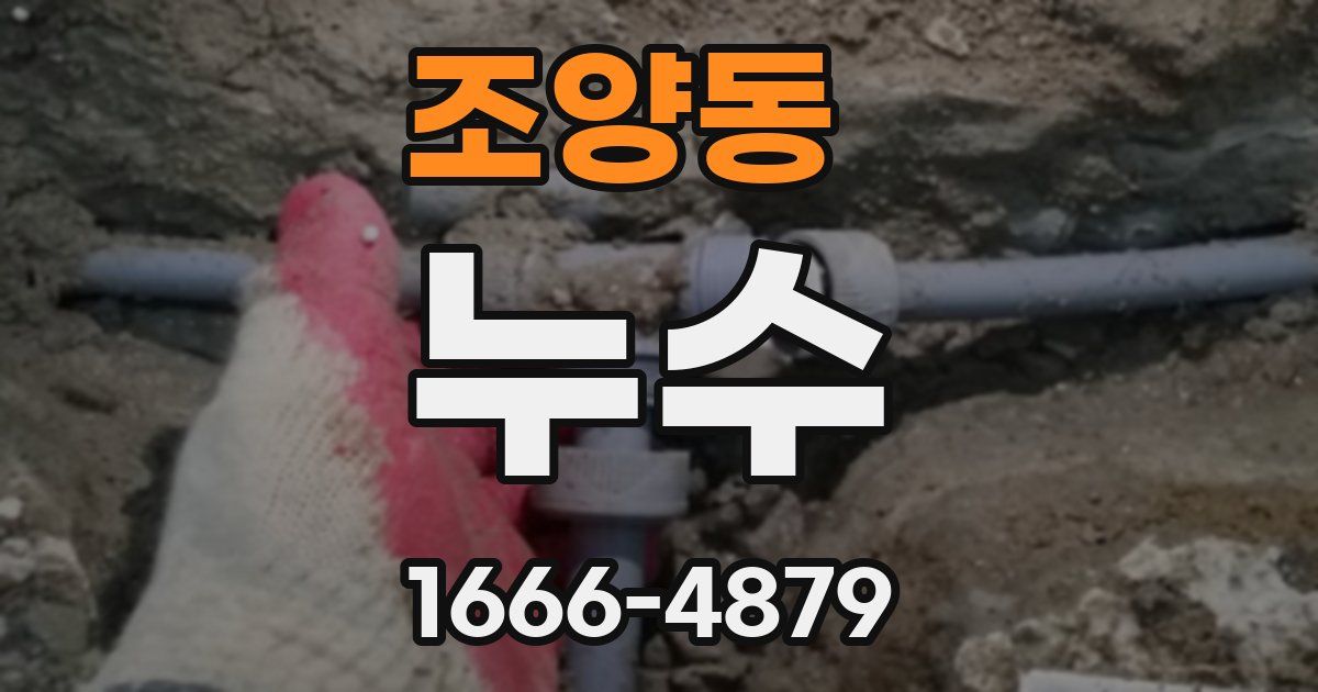 조양동 누수