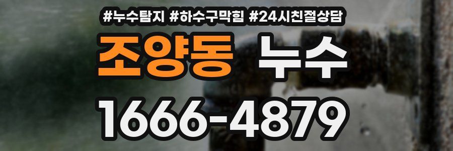 조양동 누수