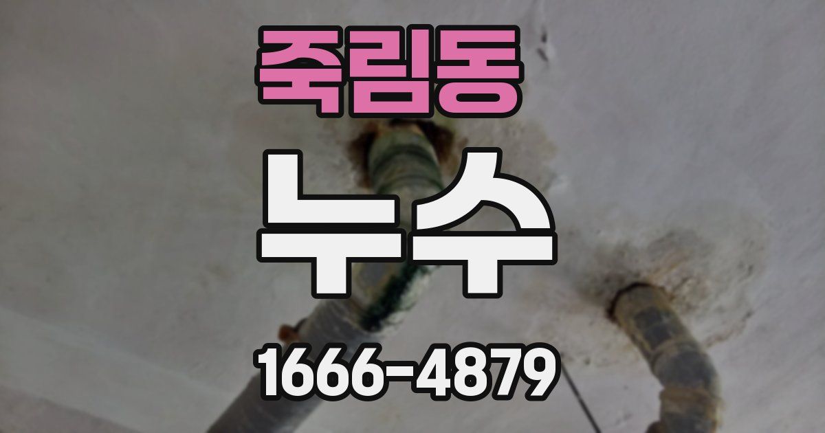 죽림동 누수