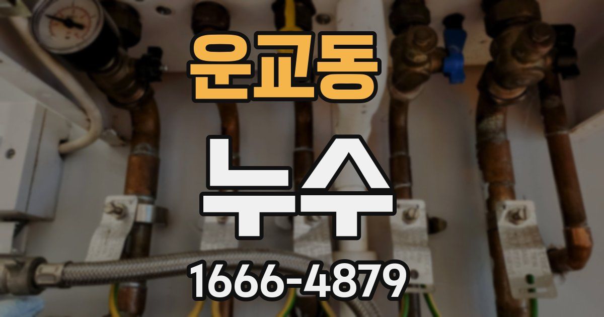 운교동 누수