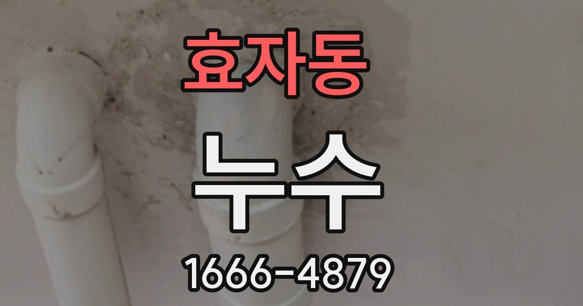 효자동 누수
