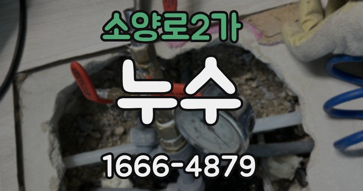 소양로2가 누수