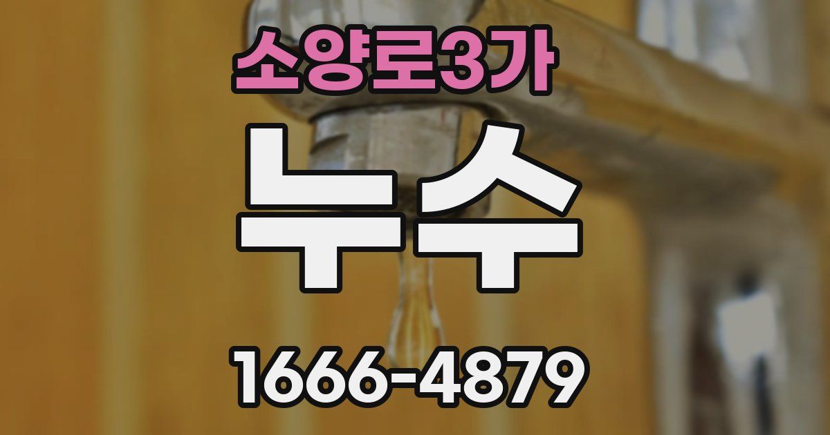 소양로3가 누수