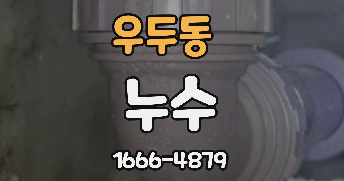우두동 누수