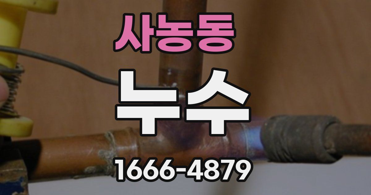 사농동 누수