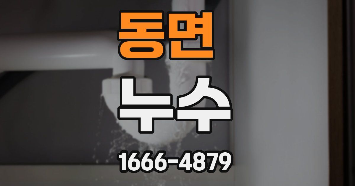 동면 누수