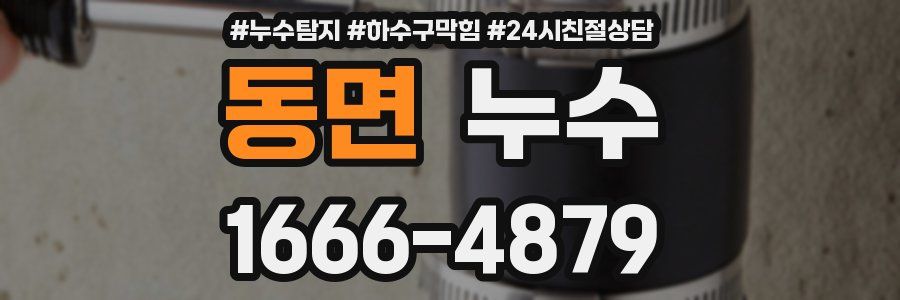 동면 누수