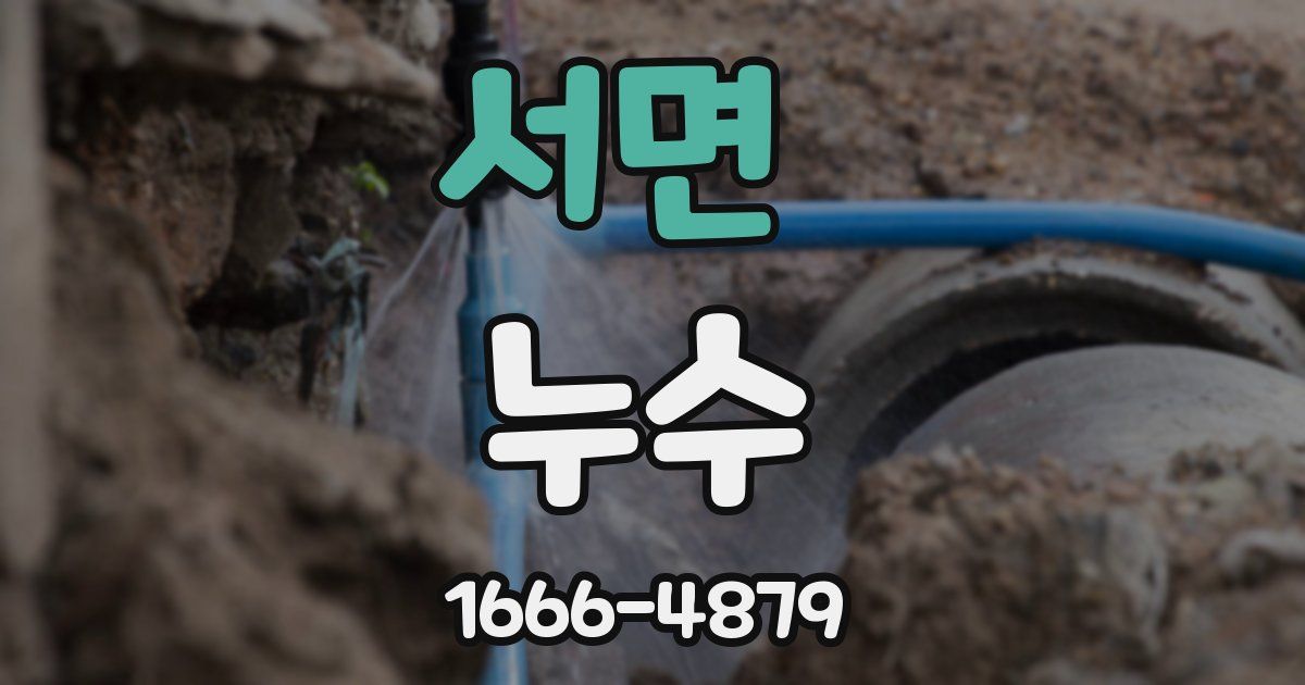 서면 누수