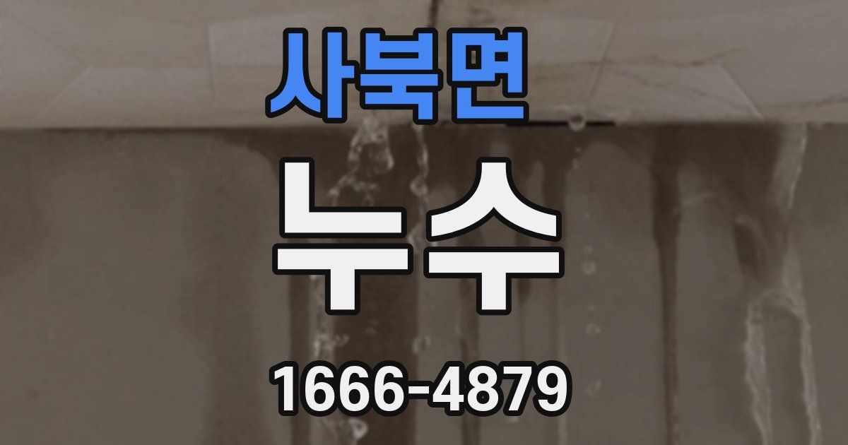 사북면 누수