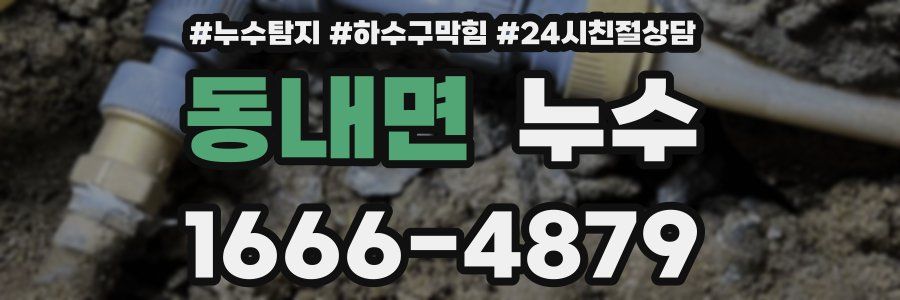 동내면 누수