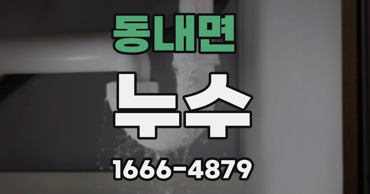 동내면 누수