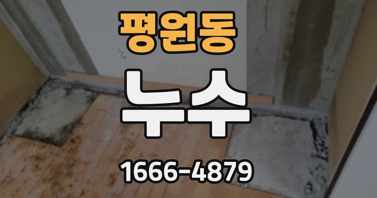 평원동 누수