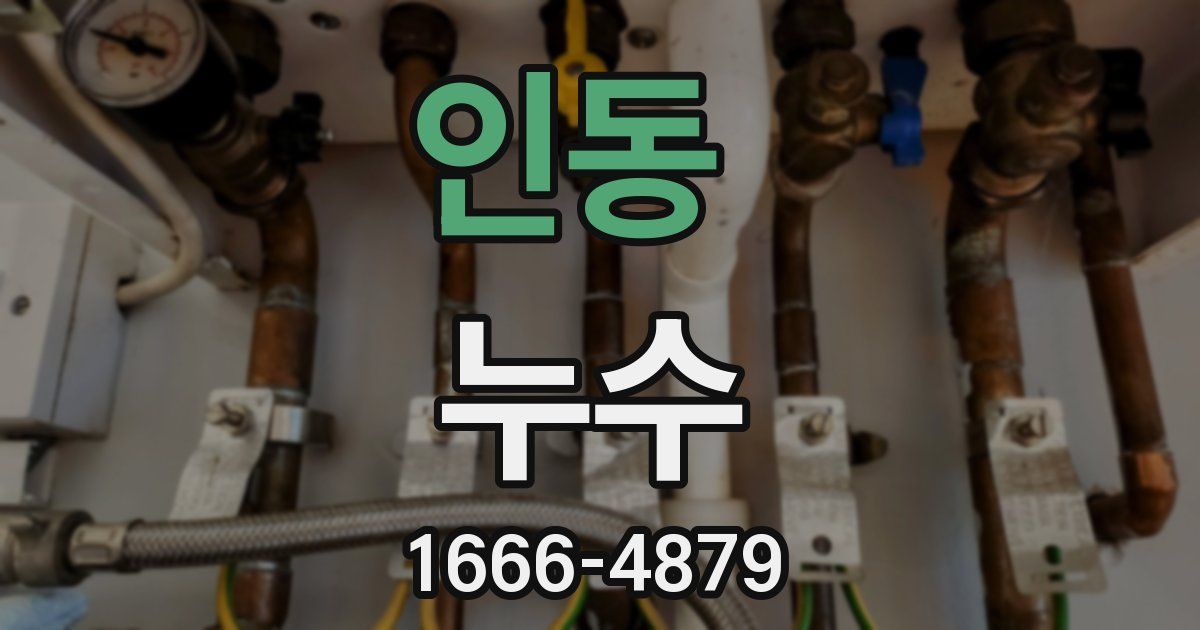 인동 누수