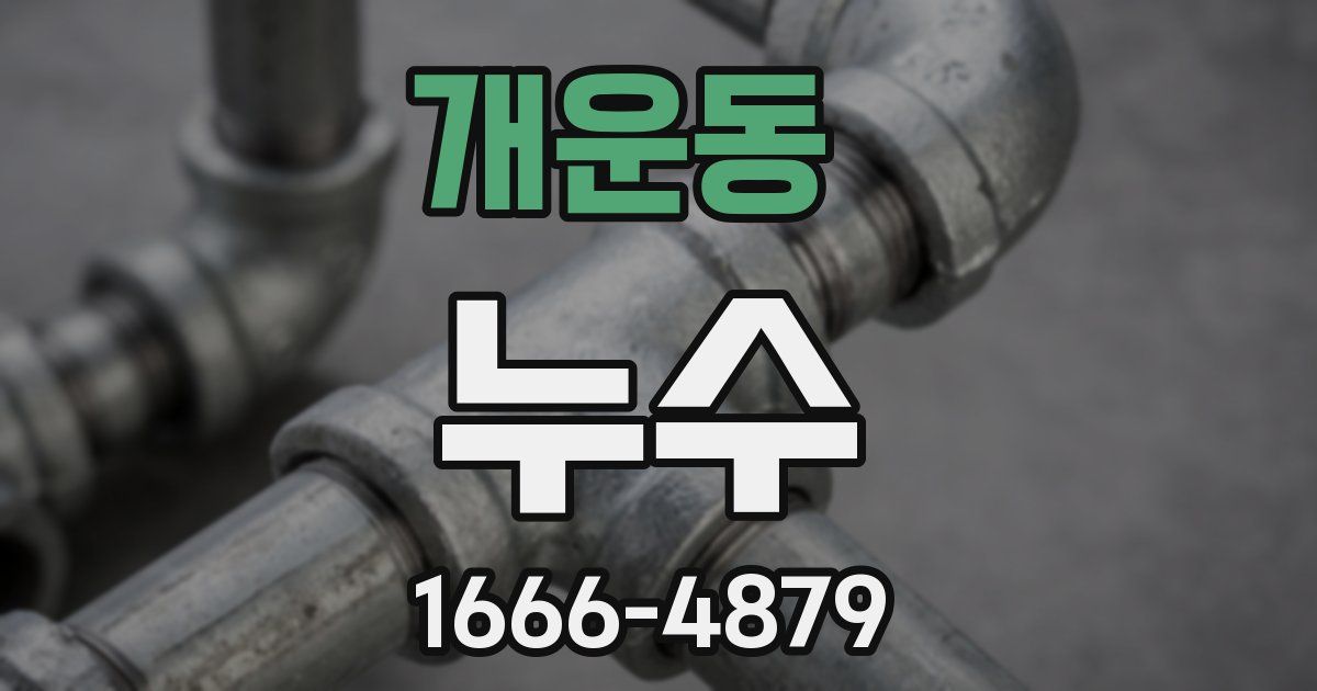 개운동 누수