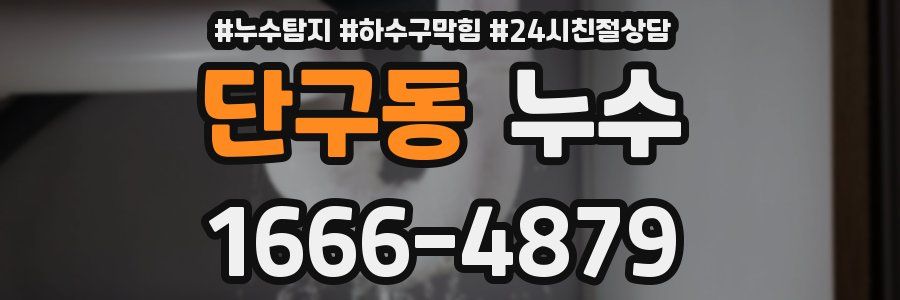 단구동 누수