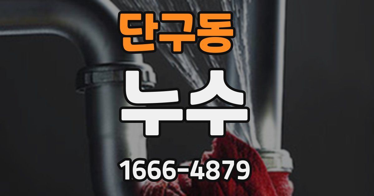 단구동 누수