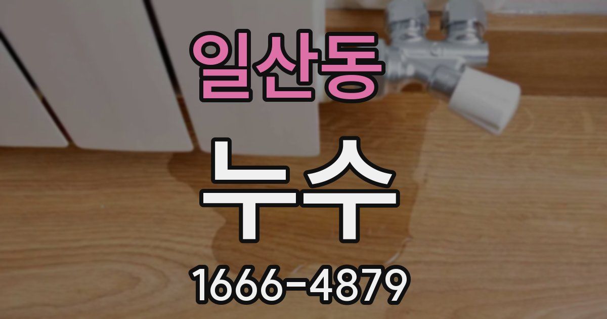 일산동 누수