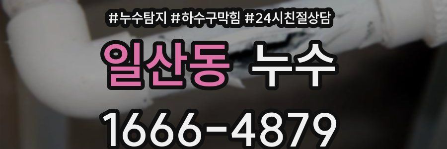 일산동 누수