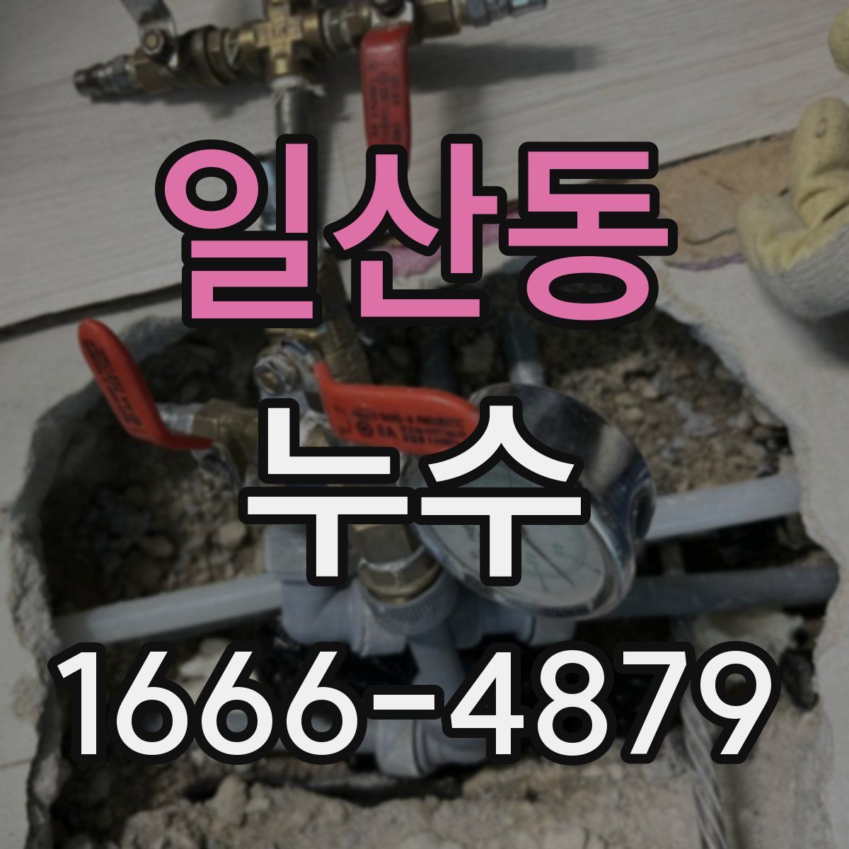 일산동 누수