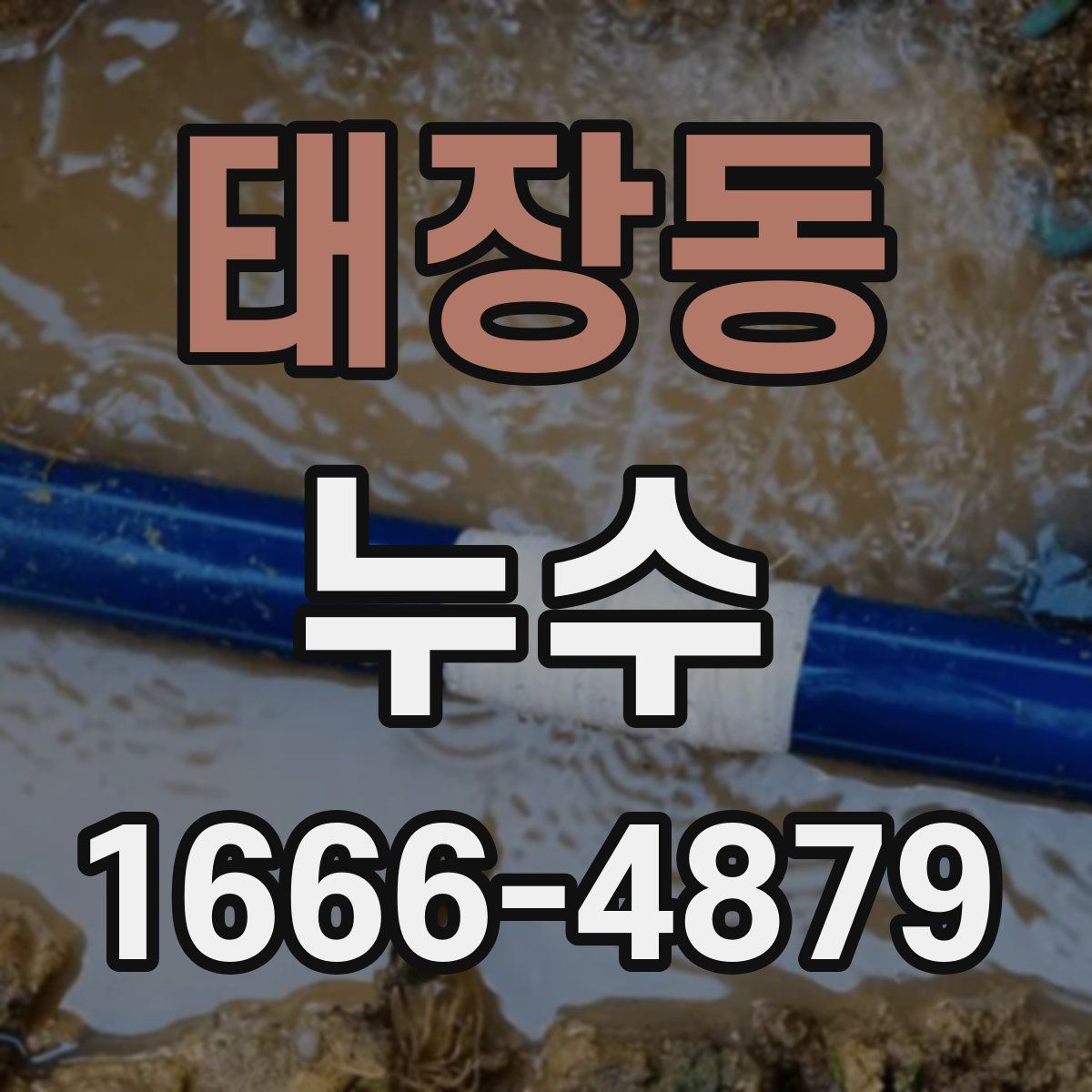 태장동 누수